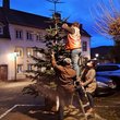3 Personen, ein Mann auf Leiter, schmücken Weihnachtsbaum in abendlicher Stimmung